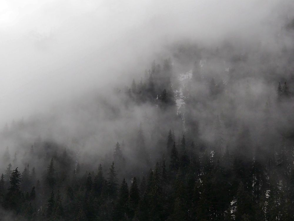 Photograph by Cornelia Ilie