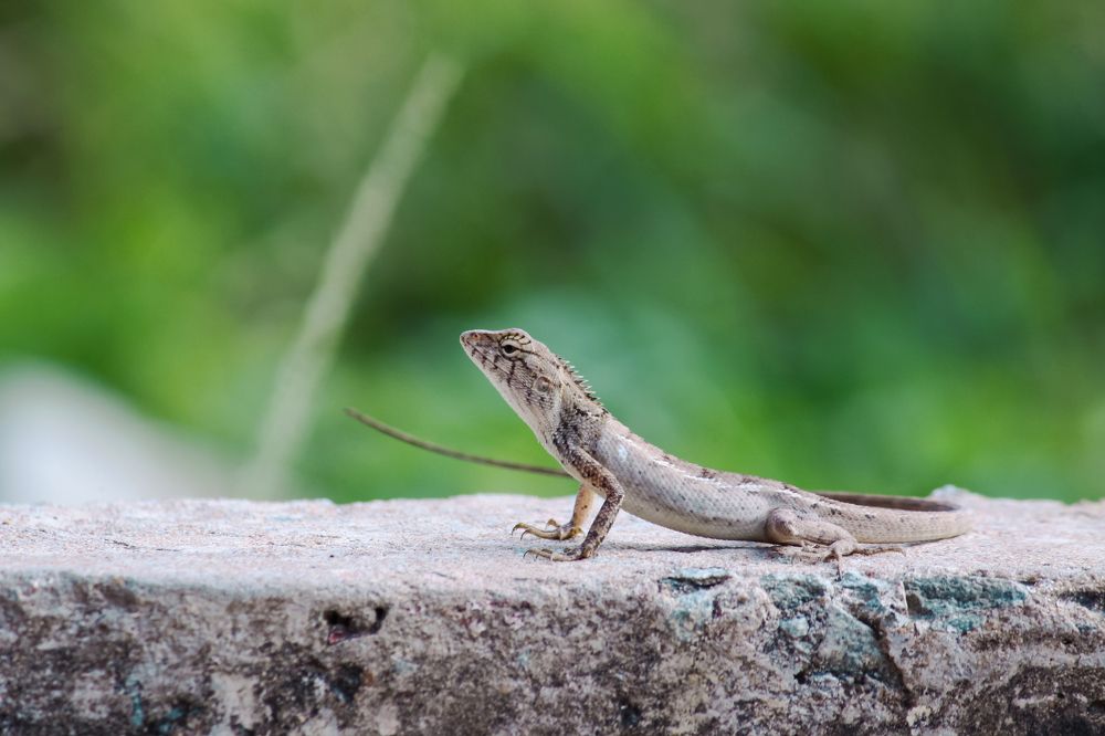 Photograph by Chau Nguyen