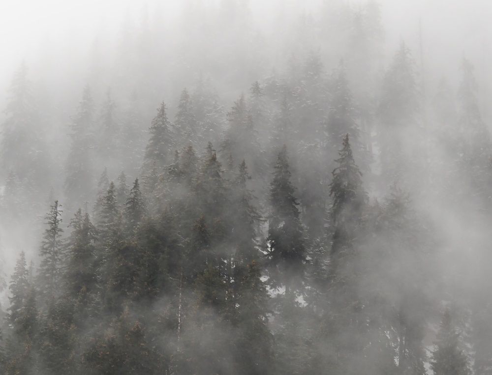 Photograph by Cornelia Ilie