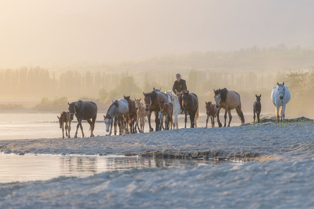 Фотография автора Kaznov Stanislav