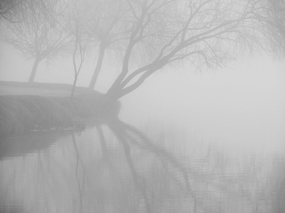 Photograph by Cornelia Ilie