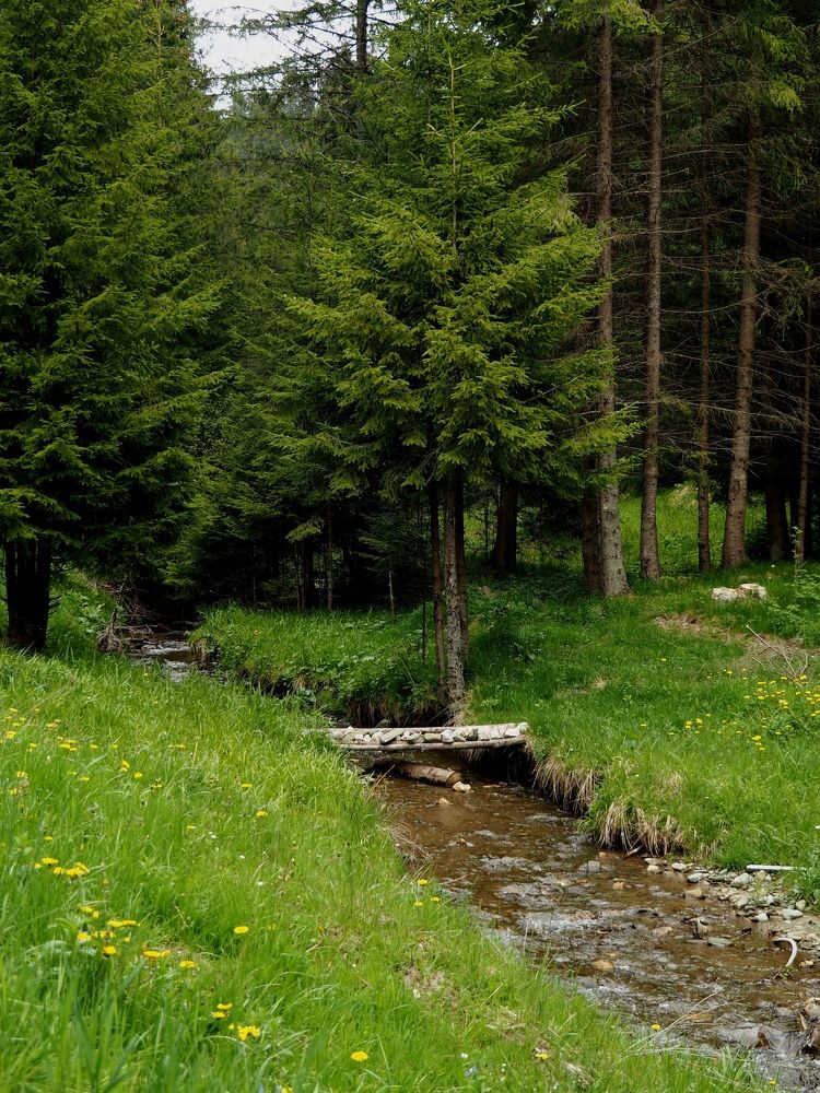 Photograph by Cornelia Ilie