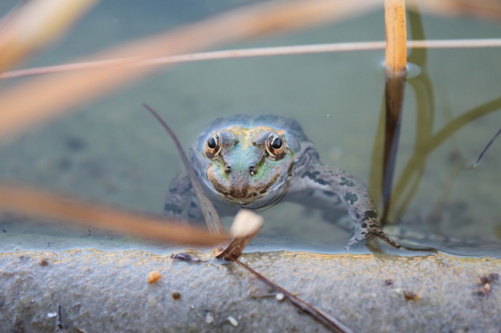 Photograph by Надежда Яковлева