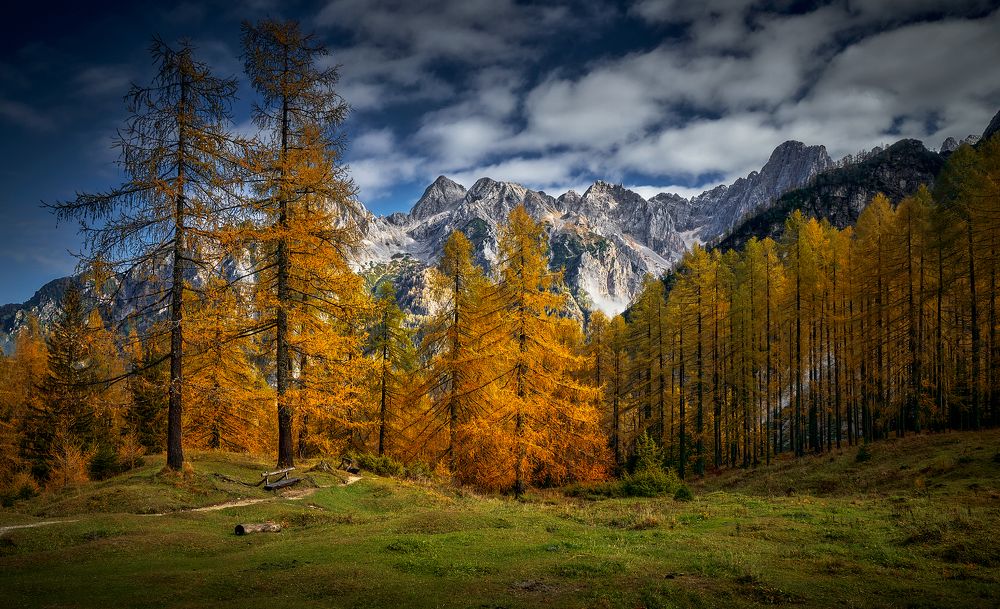 Photograph by Boris Bekelman