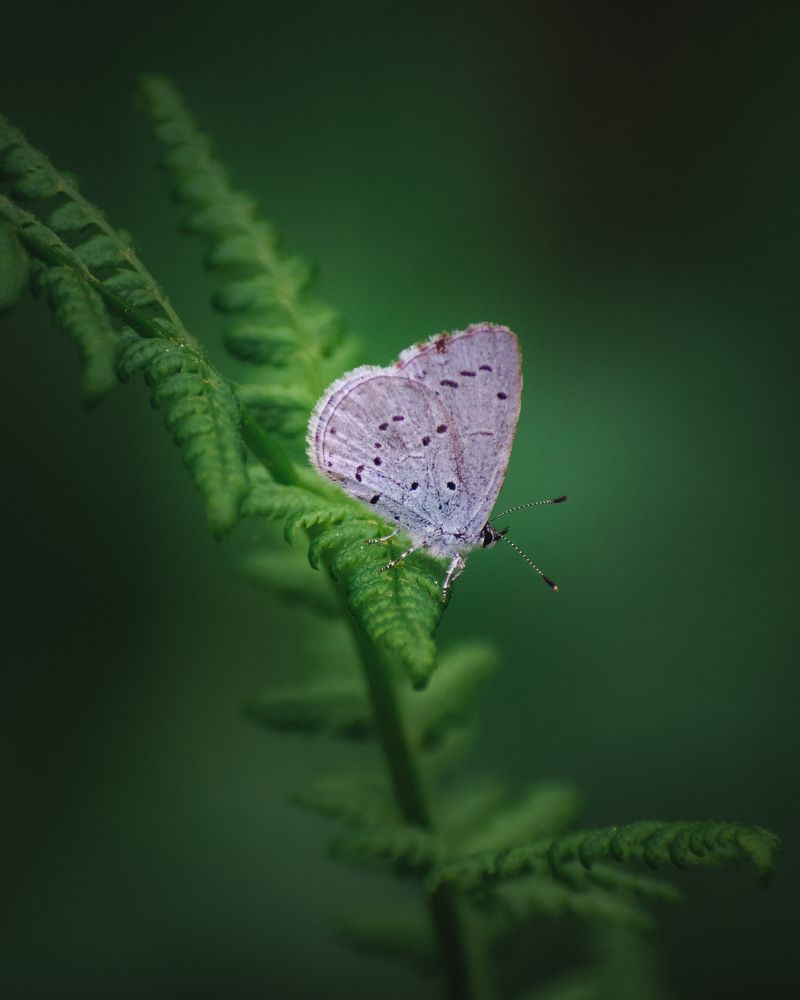 Photograph by Сергей Егоров