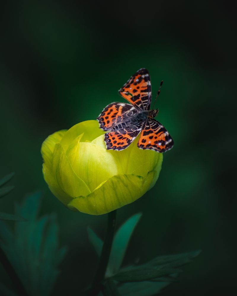 Photograph by Сергей Егоров