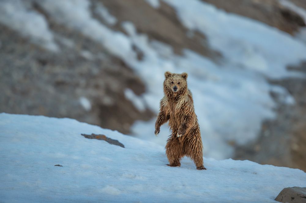 Фотография автора Sudipta Chakraborty