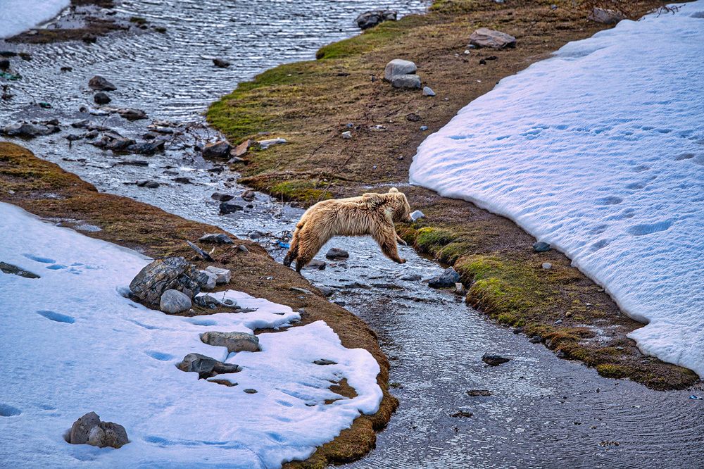 Фотография автора Sudipta Chakraborty