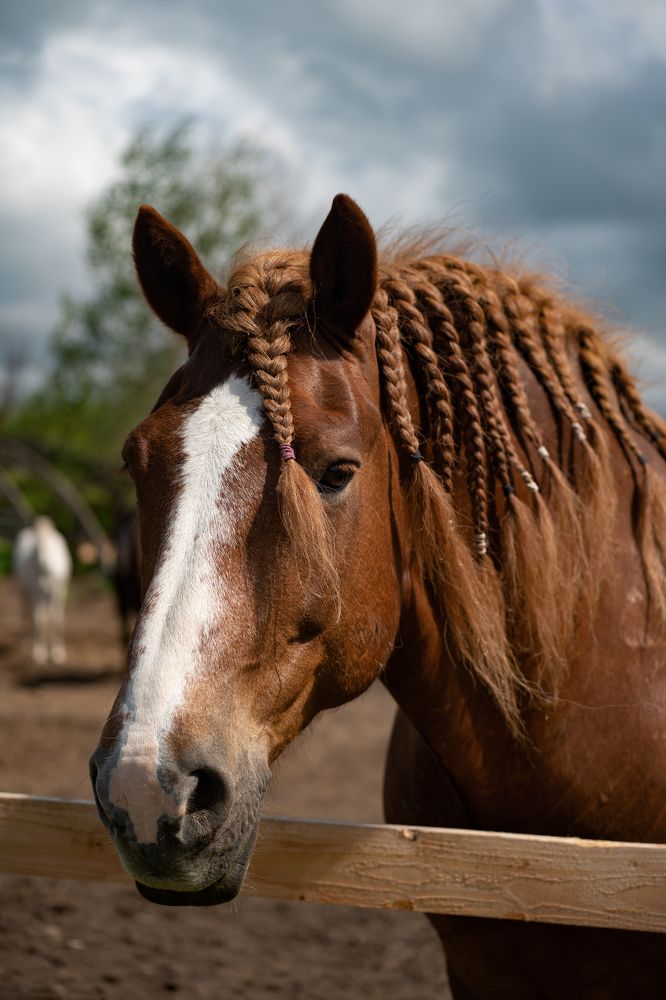 Photograph by Анна Новосельцева