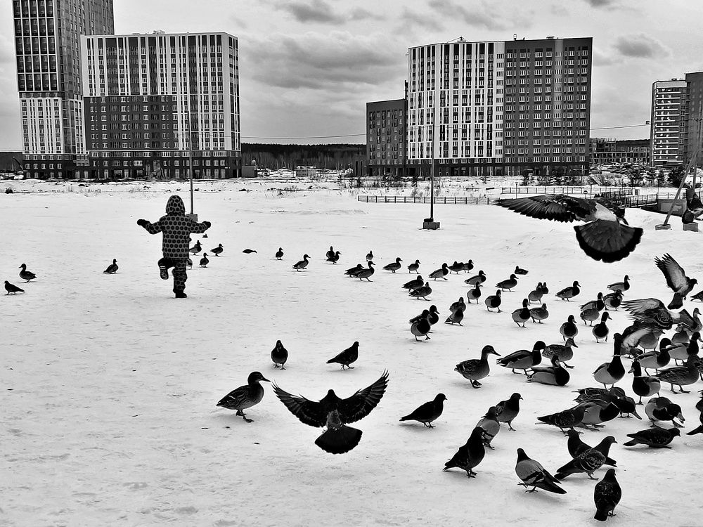 Photograph by Ольга Метлицкая