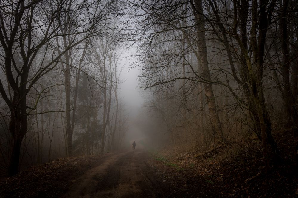 Photograph by Rolandas Valančauskas