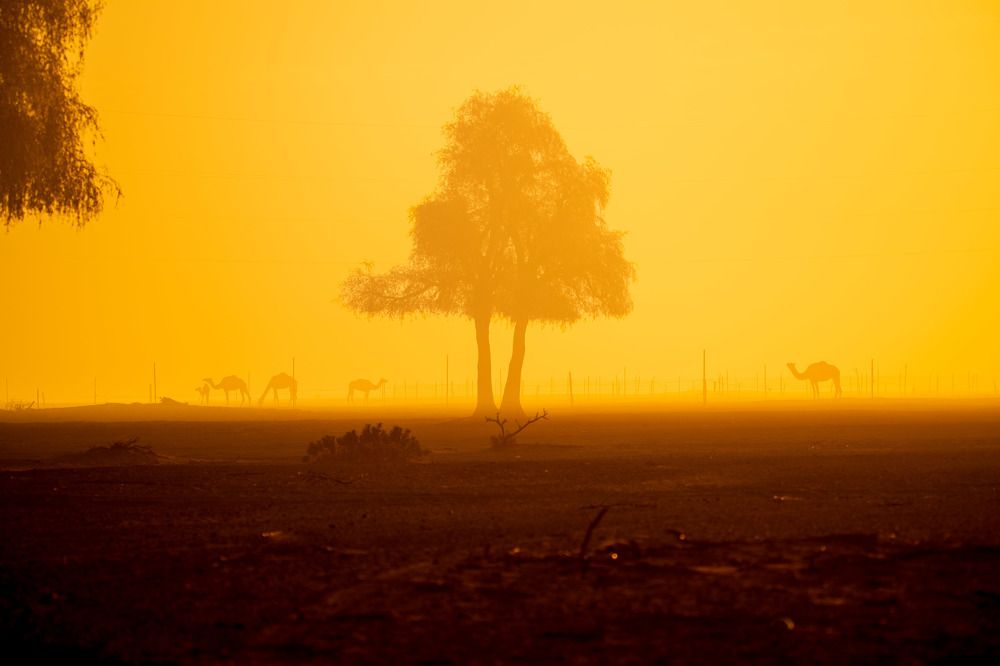 Photograph by Zubair Irshad