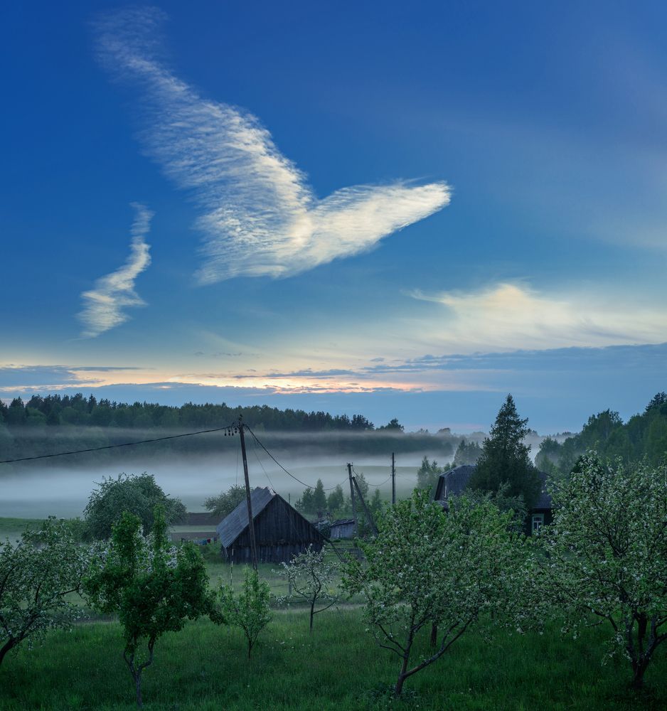 Photograph by Anatolijs Kivrins