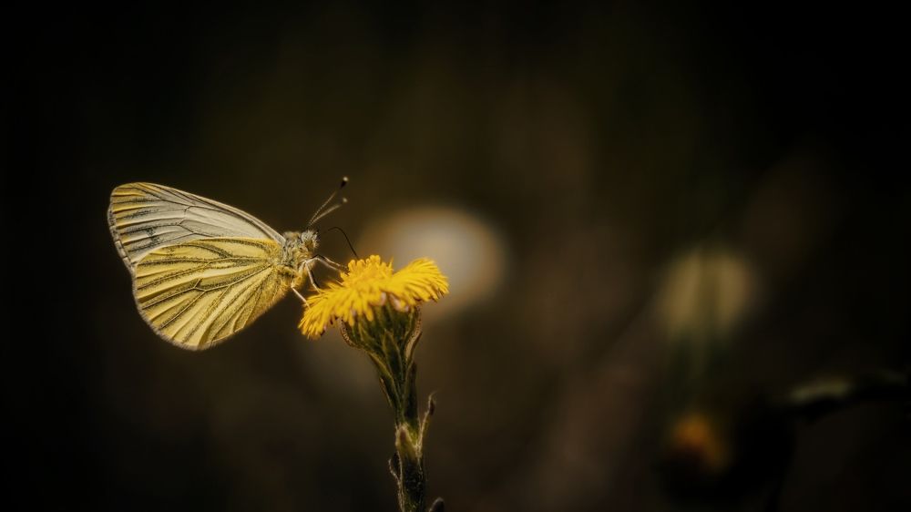 Photograph by Антон Дроздов