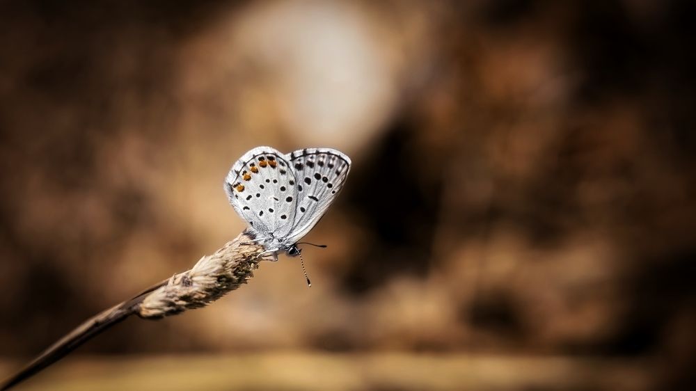 Photograph by Антон Дроздов