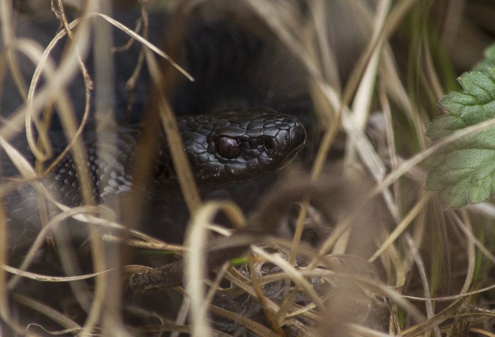 Photograph by Татьяна Титова