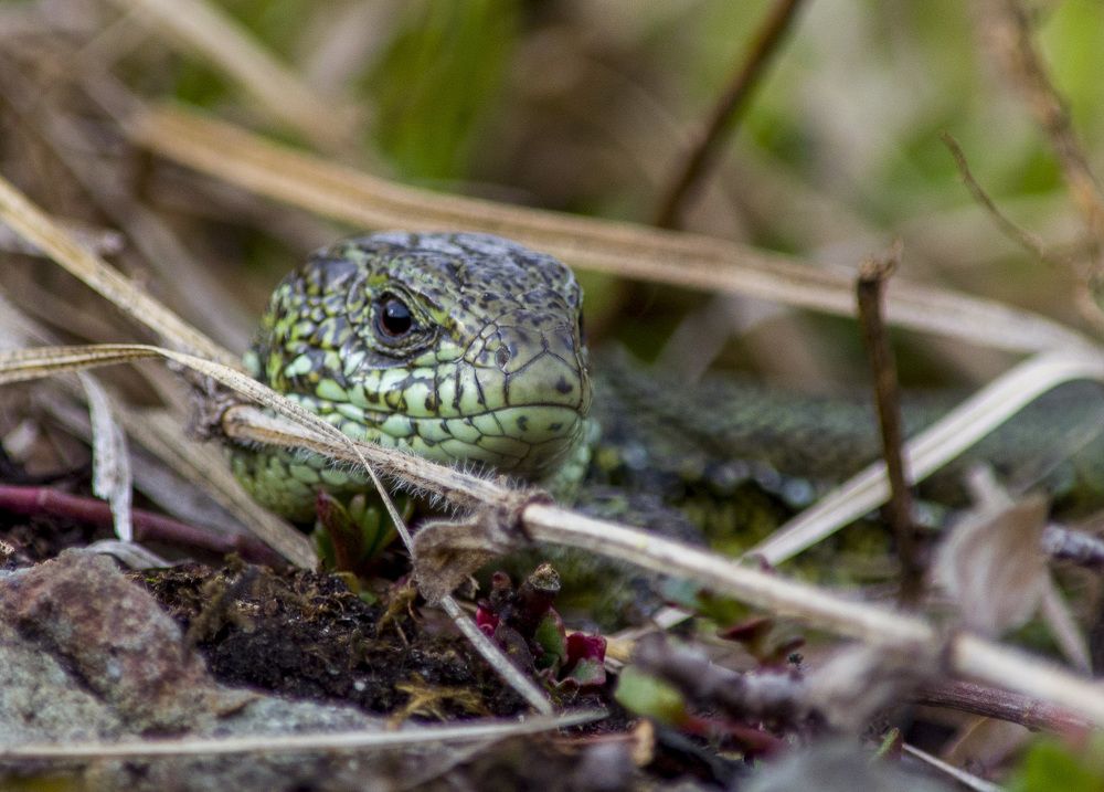 Photograph by Татьяна Титова