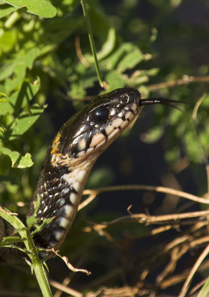 Photograph by Татьяна Титова