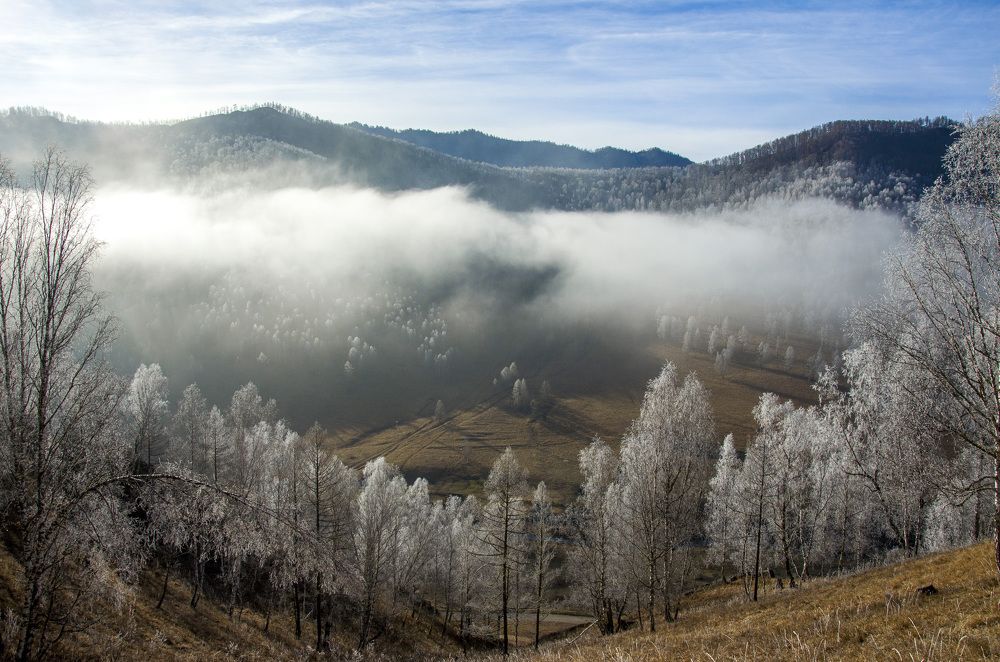 Photograph by Татьяна Титова