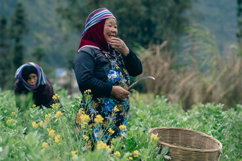 Photograph by Tuan Anh Nguyen