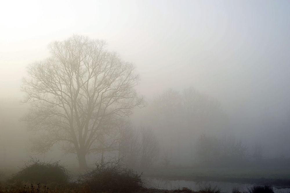 foggy river view