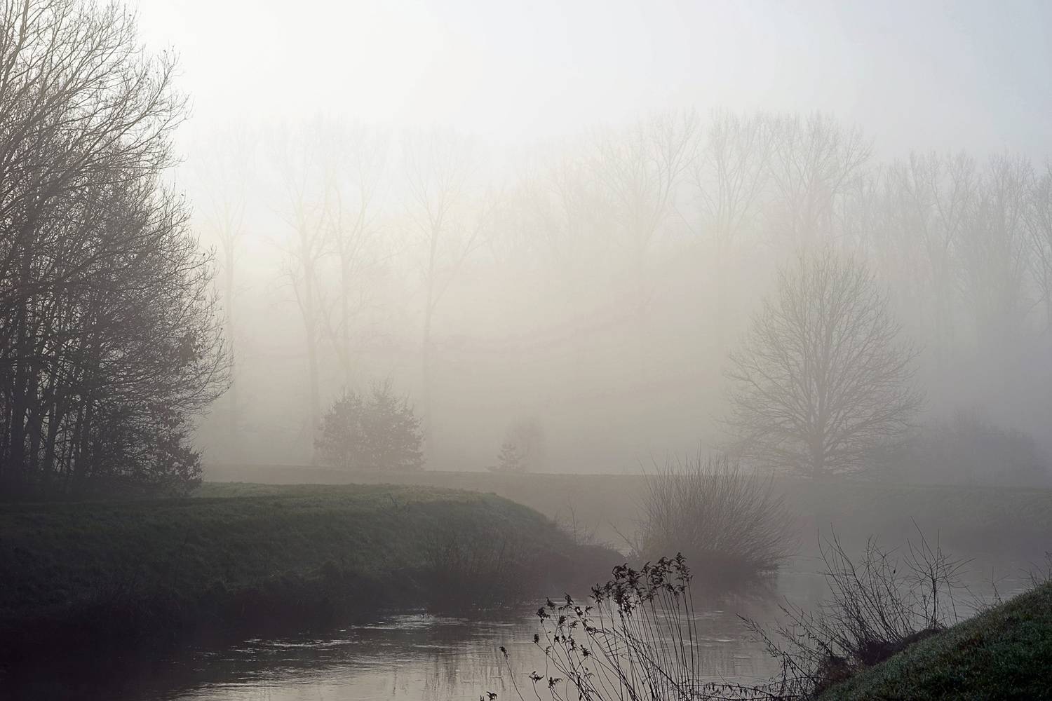 early morning fog