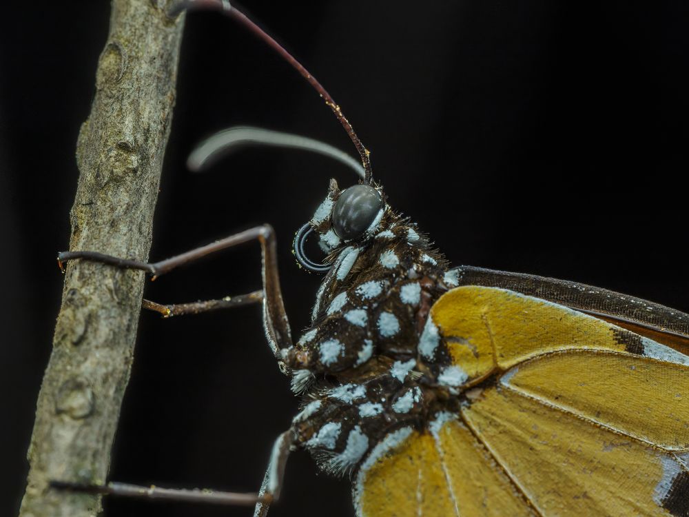 Photograph by Venkat Mangudi