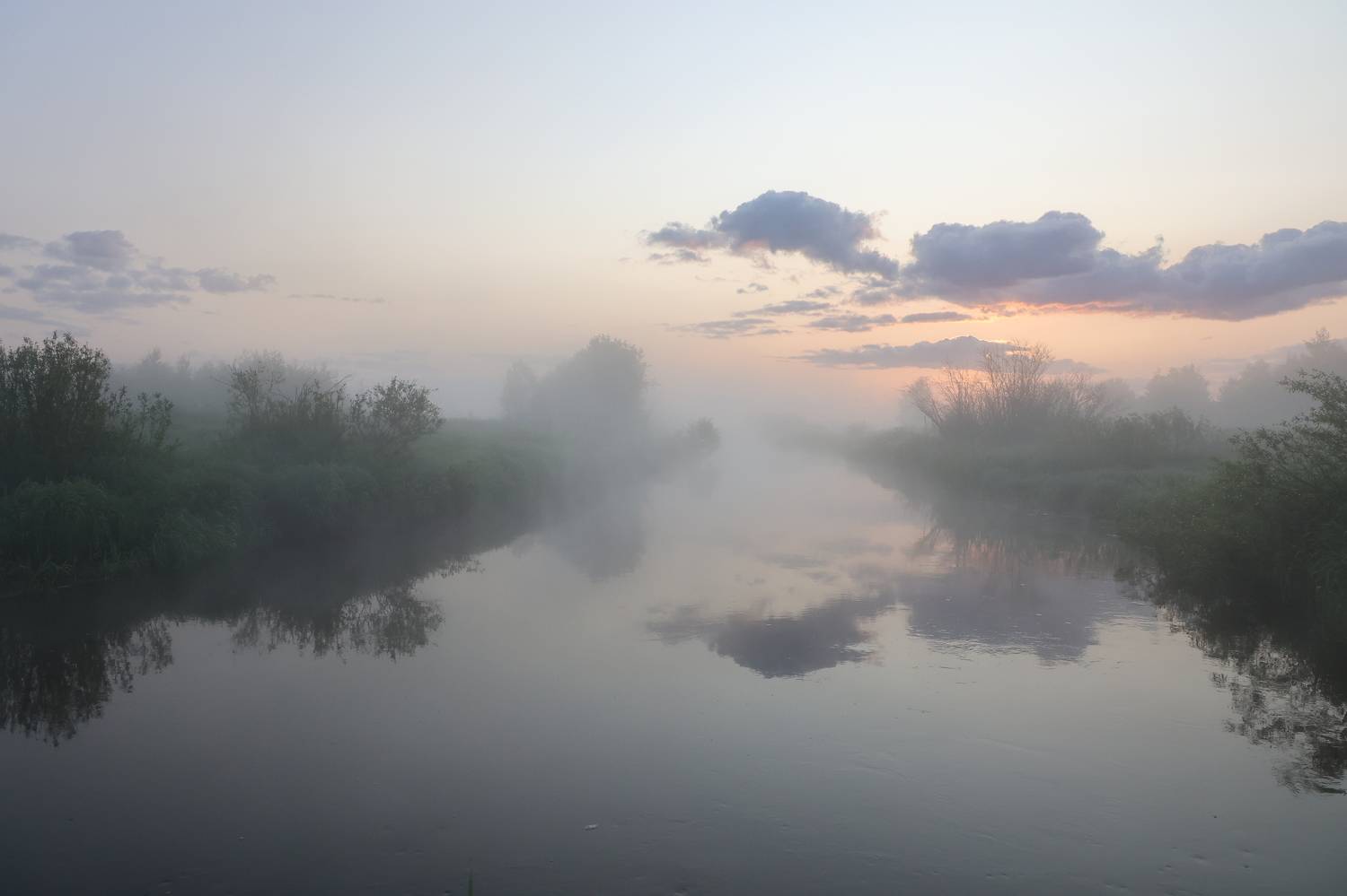 Photo #9173173