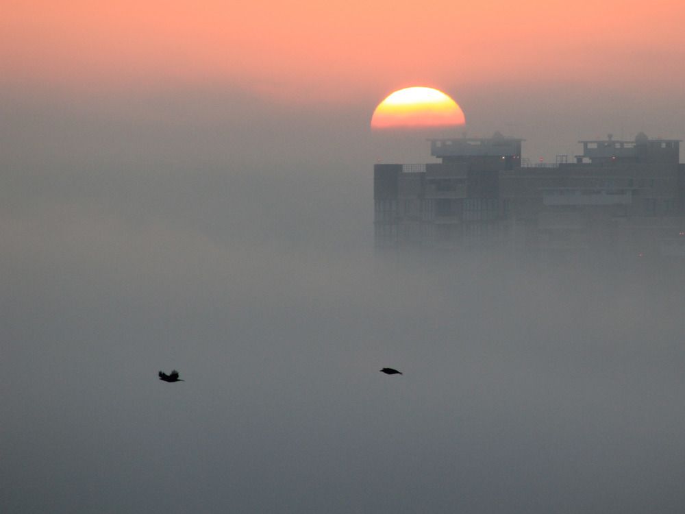 Photograph by Дмитрий Лобанов