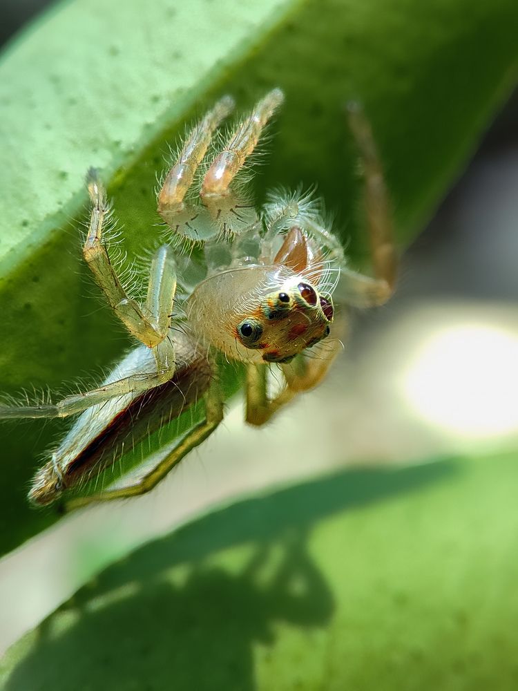 Photograph by Manojit Sasnal