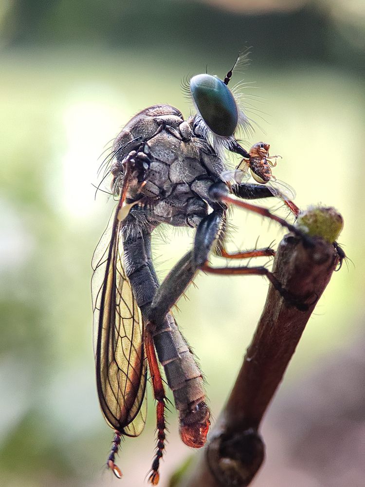 Photograph by Manojit Sasnal