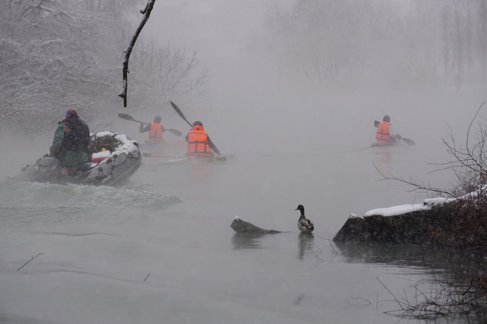 Photograph by Дмитрий Лобанов