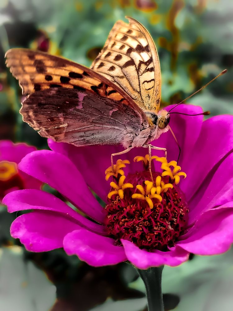 Photograph by Светлана Смирнова