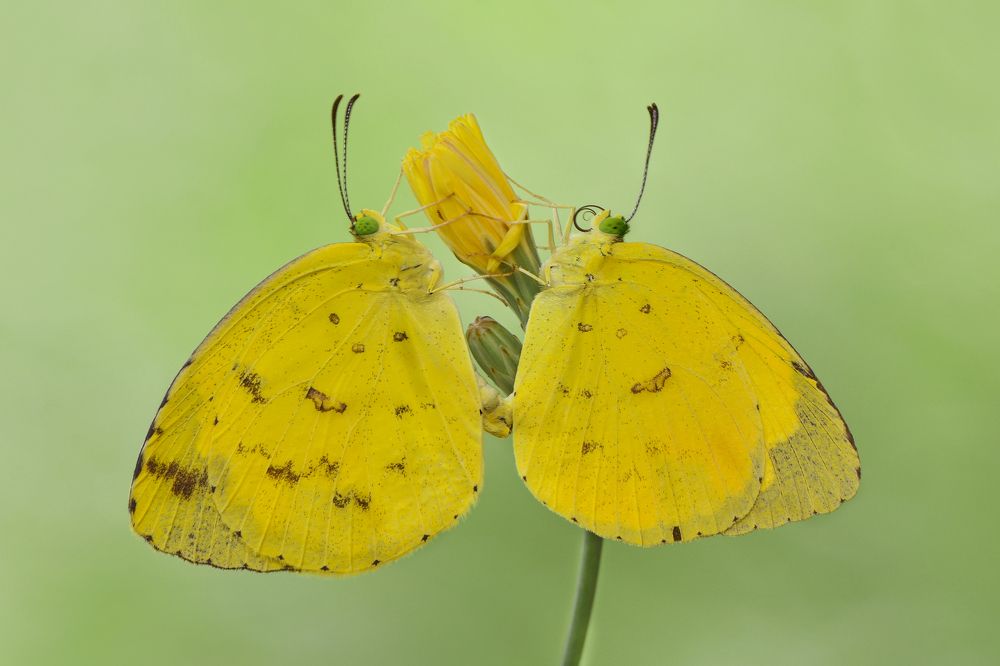 Photograph by ARUNAVA DEY