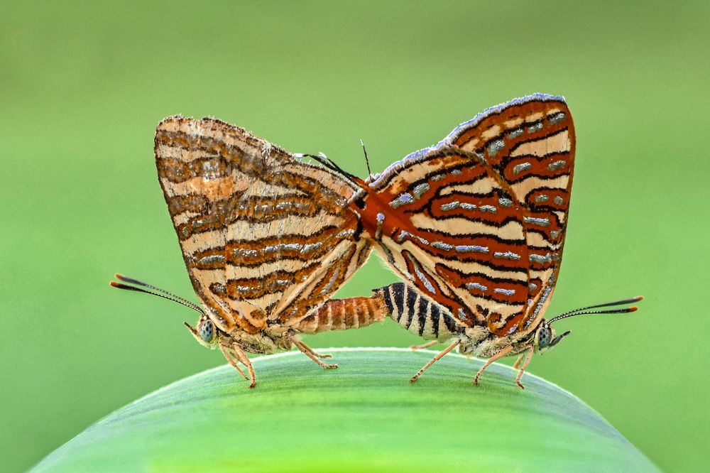 Photograph by ARUNAVA DEY