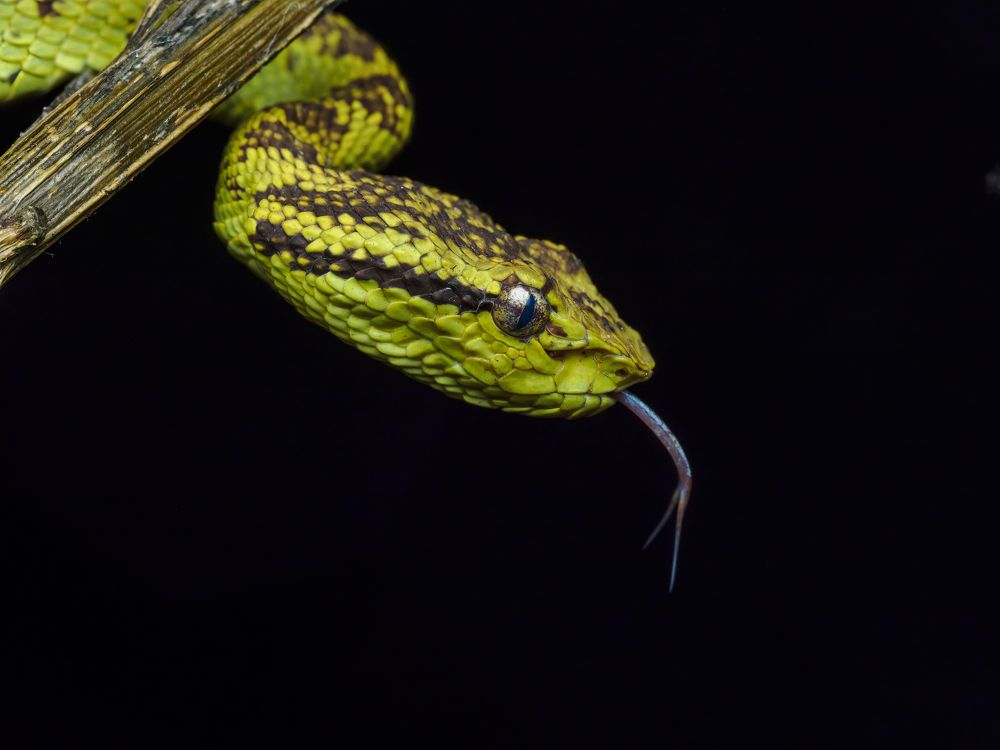 Photograph by Venkat Mangudi