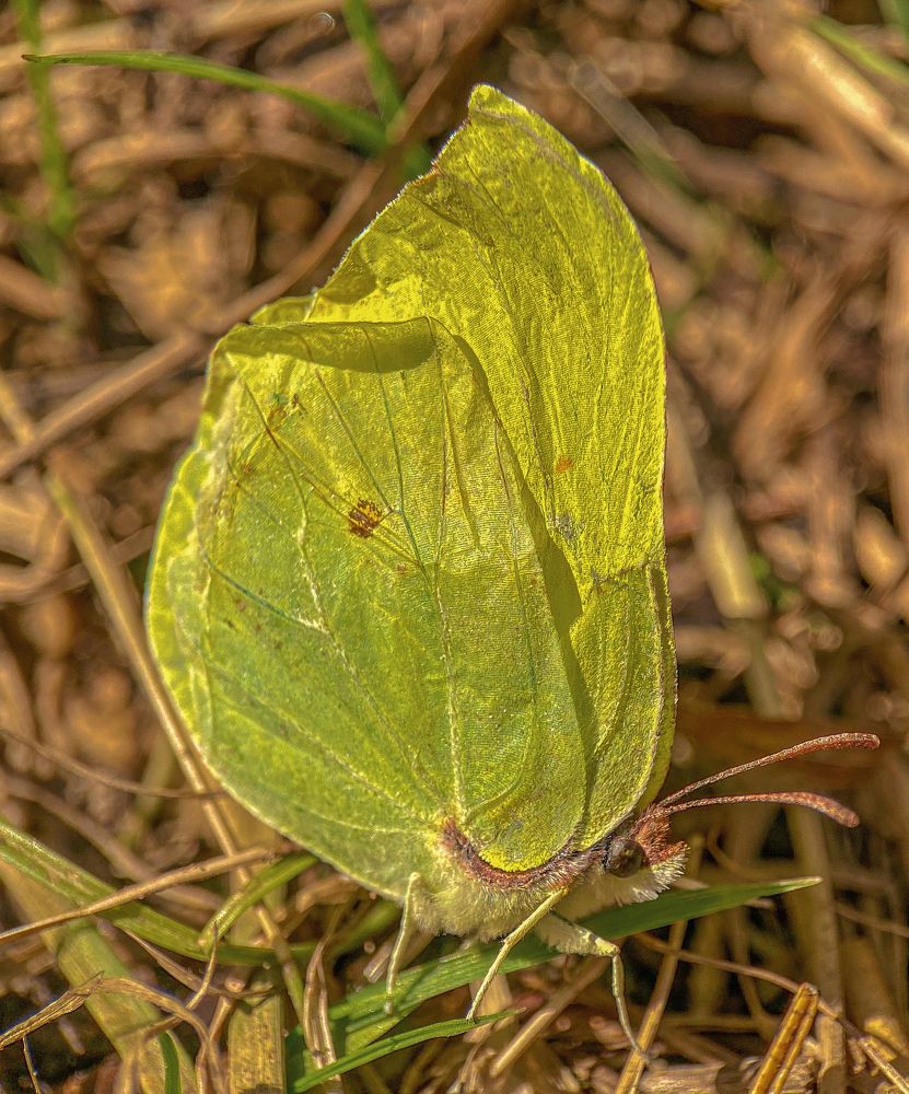 Photograph by Юлия Шустикова