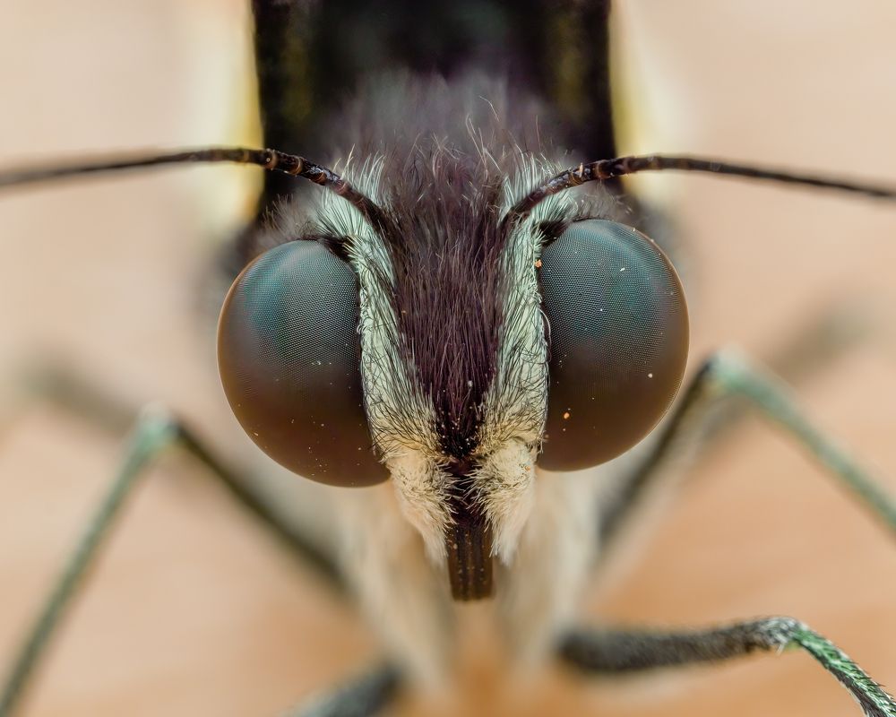 Photograph by Venkat Mangudi