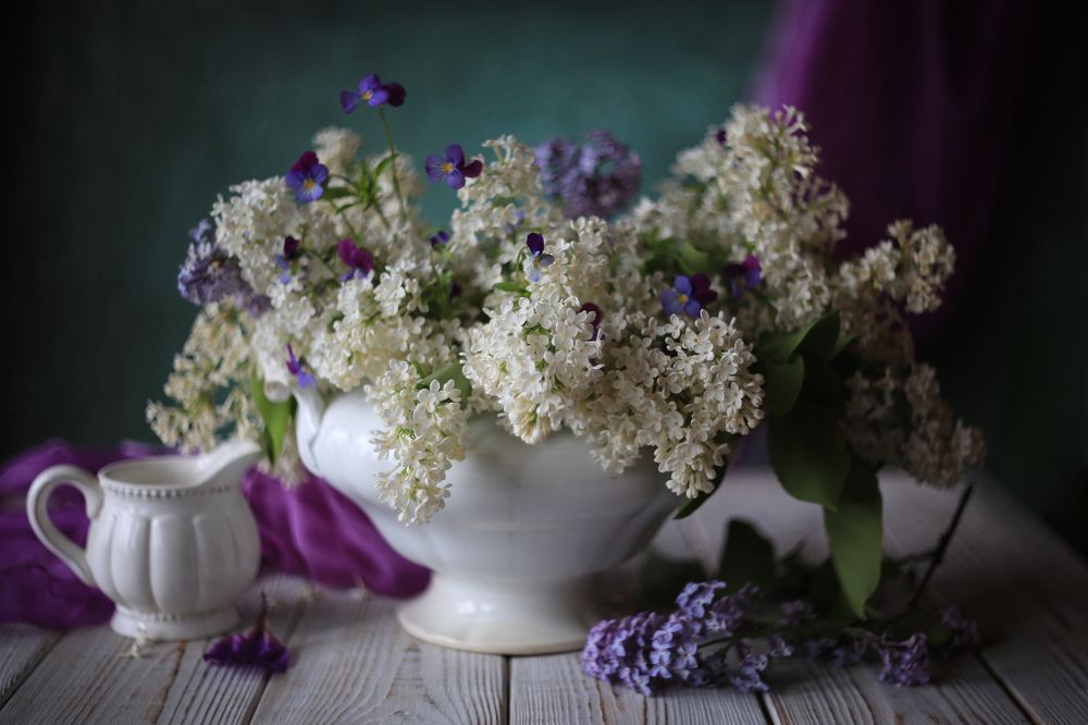 Photograph by Алена Гершфельд