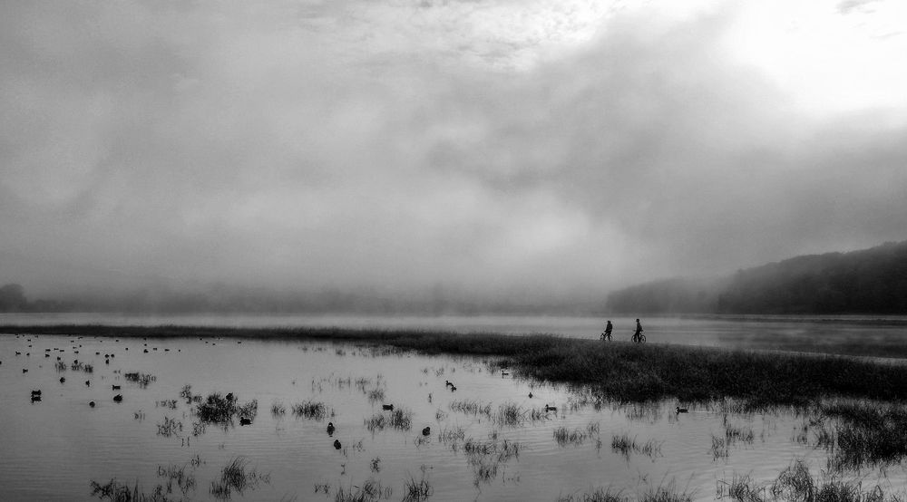 Велопрогулка