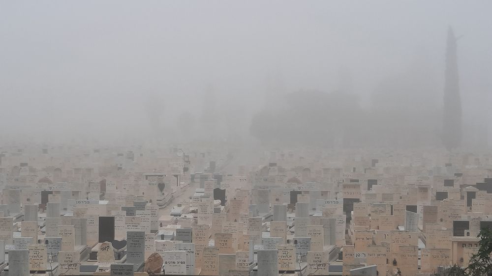 Последний приют