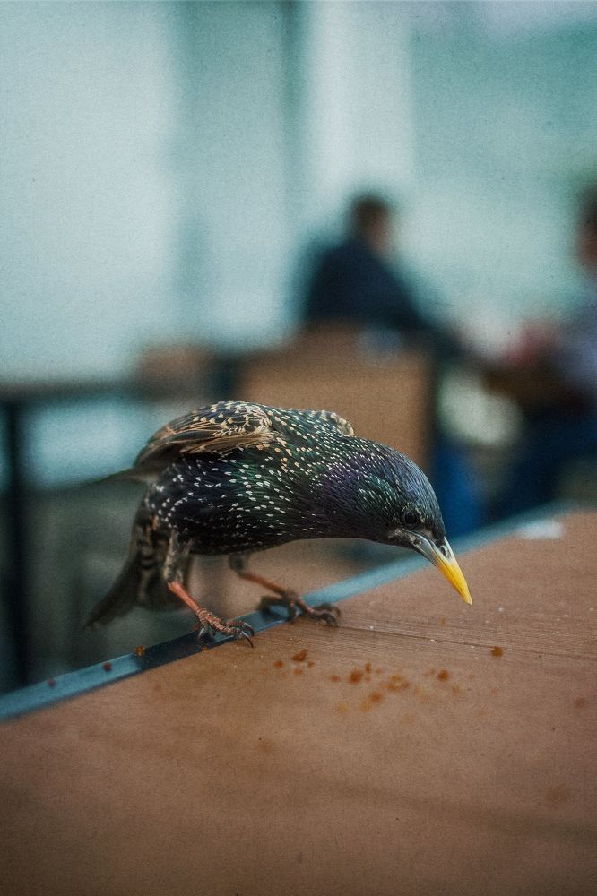 Photograph by Константин Малютин