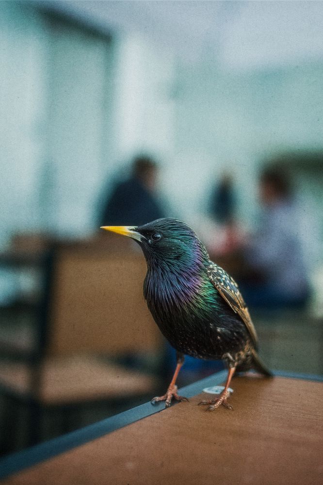 Photograph by Константин Малютин