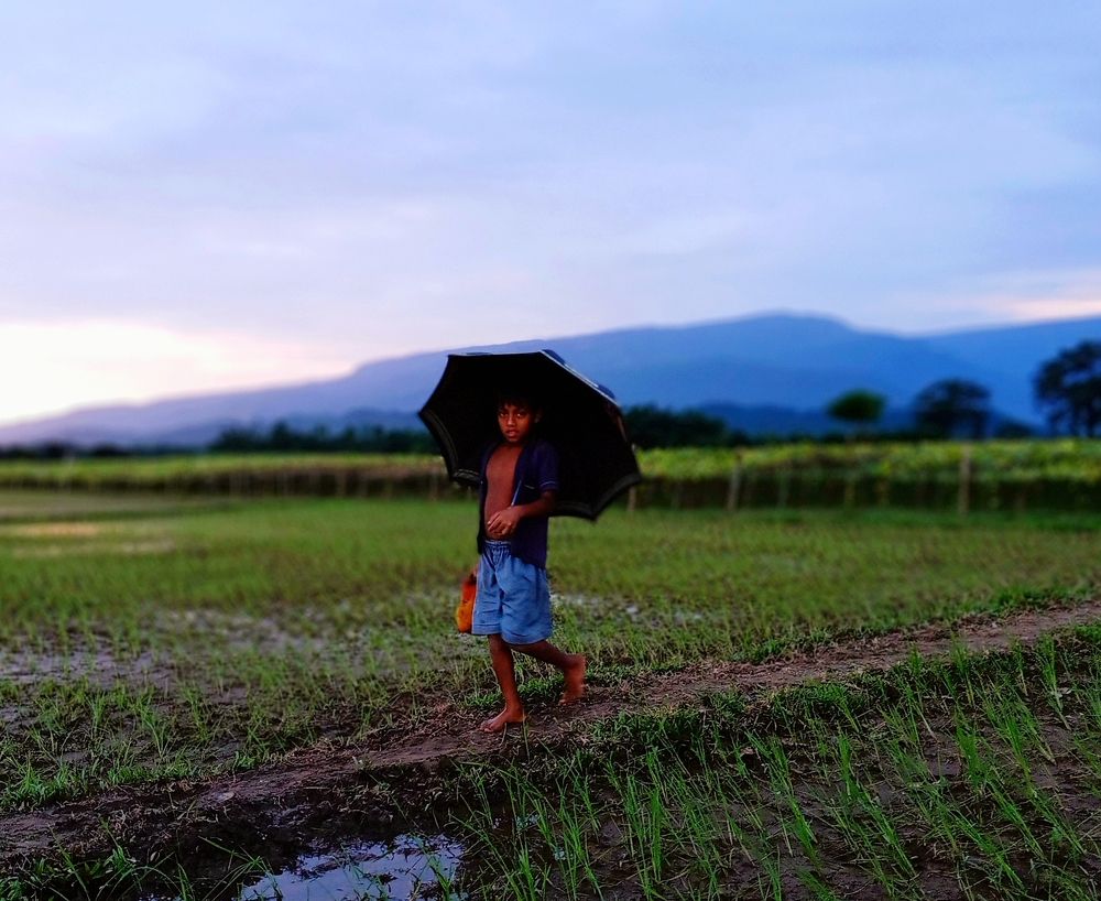 Photograph by Hasan Bodrul