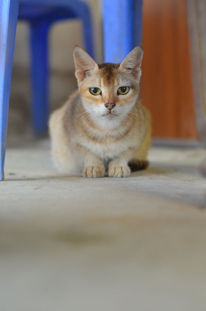 Photograph by Bodrul Hasan