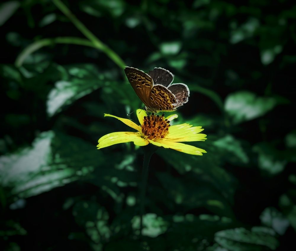 Photograph by Bodrul Hasan