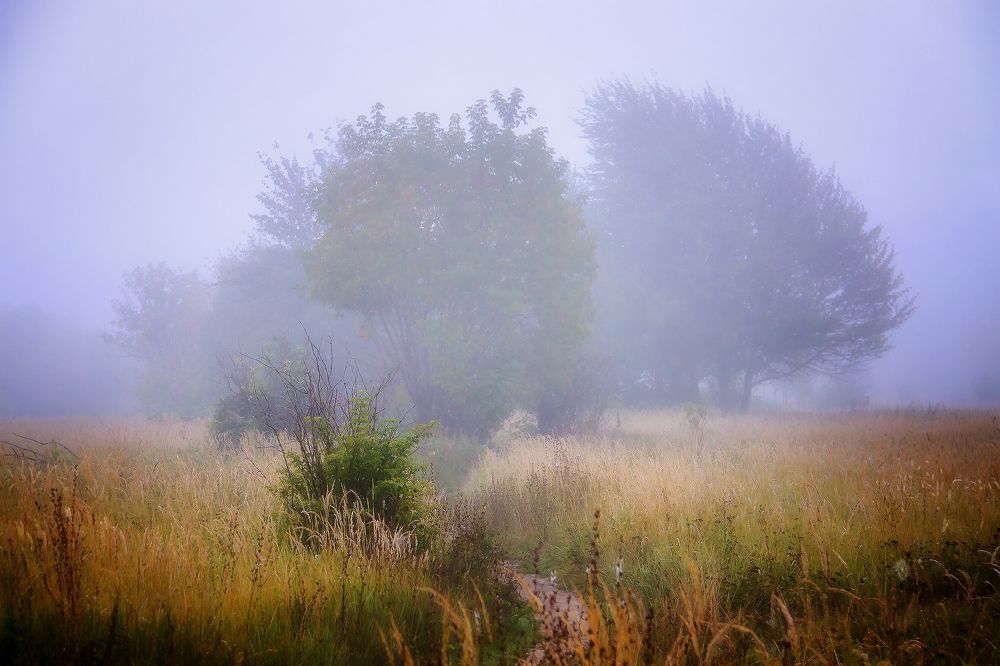 Photograph by Алексей Трифонов