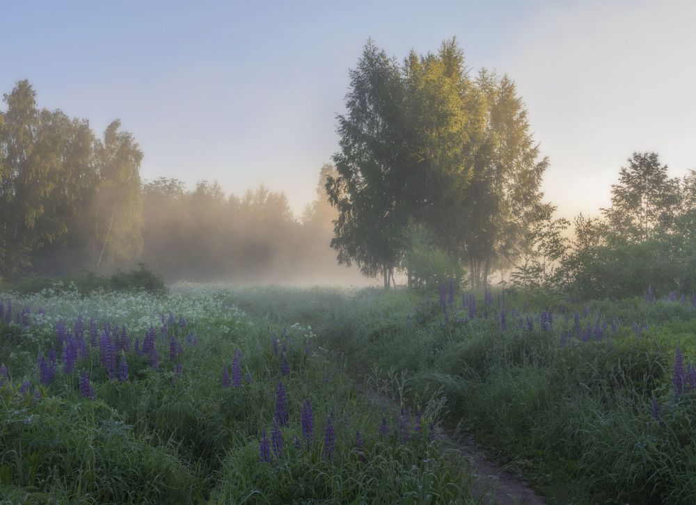 Photograph by Olga Bonina