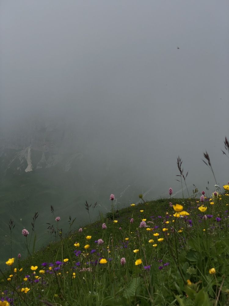 Photograph by Людмила Евстратова