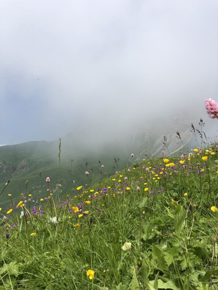 Photograph by Людмила Евстратова